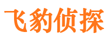 廊坊市私家侦探